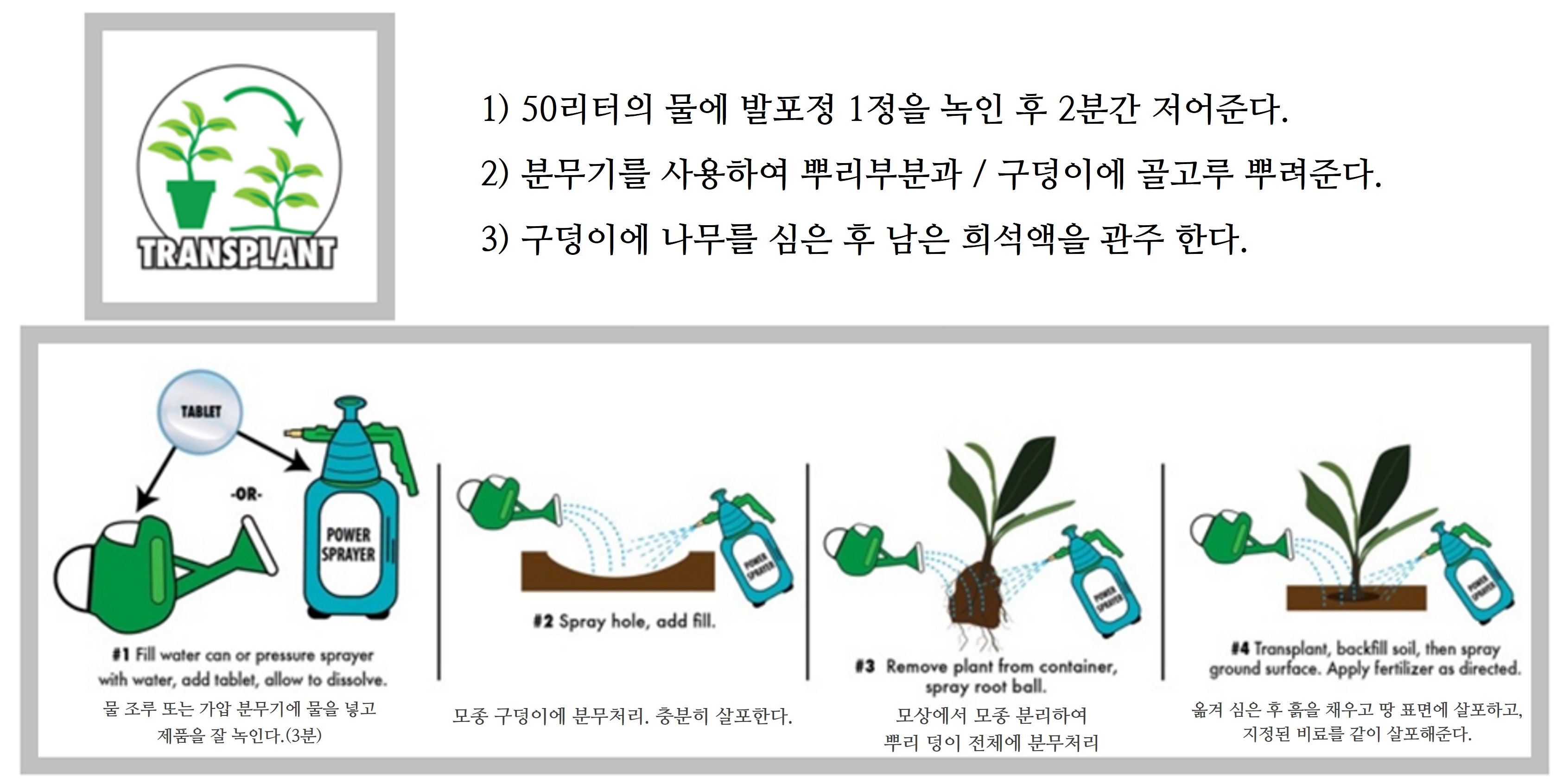 뿌리 분무 / 이식